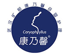 旷郁康乃馨