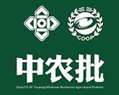 中国供销·农产品批发市场控股有限公司