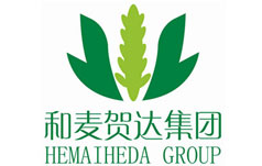 和麦贺达集团