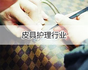 傲蓝皮具护理行业解决方案