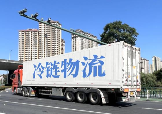 冷链物流软件